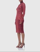 Load image into Gallery viewer, ROSINA MESH DRESS
